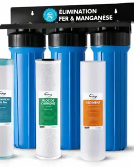 Système de filtration d'eau domestique avec filtres pour éliminer fer, manganèse, impuretés et sédiments, assurant une eau propre et saine pour la maison.