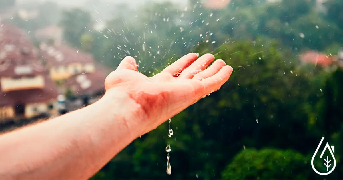 Eau de pluie à la maison : Solutions pour faire des économies d’eau.
