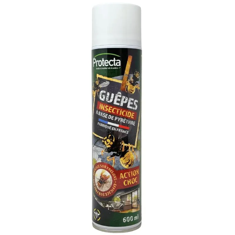 Aérosol insecticide au pyrèthre contre les guêpes et frelons à l'extérieur de la maison.