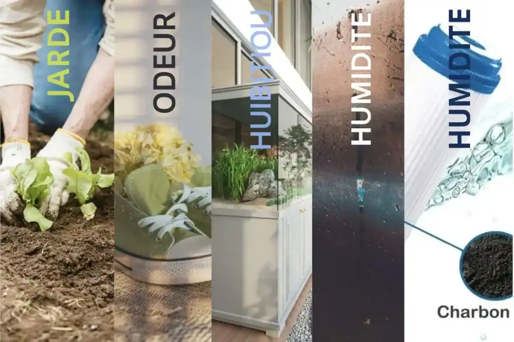 Améliorez votre jardin avec nos solutions d'entretien, fertilisation et outils pour un espace vert sain et florissant.