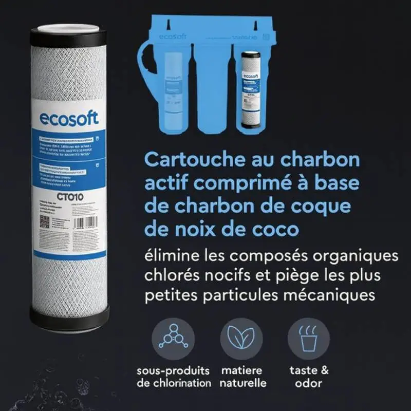 charbon-bloc-Ecosoft - Boutique Diproclean Cartouche charbon bloc 10 microns Ecosoft.