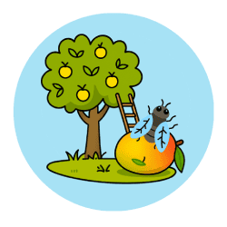 Pièges appâts écologiques insectes