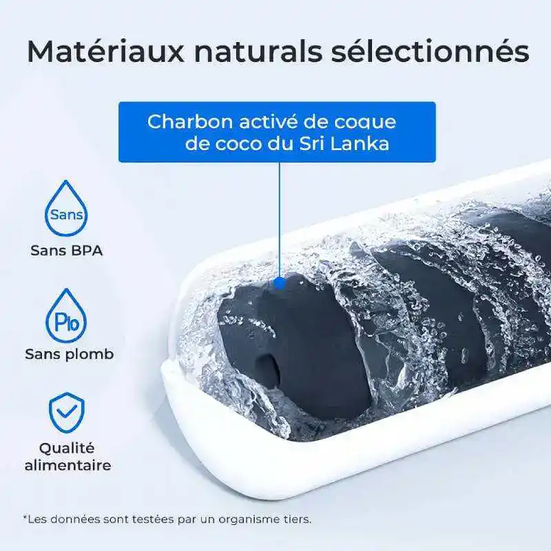 Charbon actif de coque de coco Sri Lanka pour une purification optimale, sans BPA ni plomb, idéal pour la filtration de l'eau, qualité alimentaire pour votre santé.