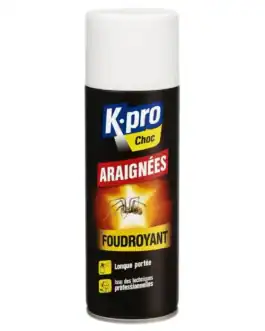 K.pro Araignées Foudroyant, spray anti-araignées, solution professionnelle pour éliminer efficacement les araignées, longue portée, utilisation facile, produit nettoyant professionnel Diproclean.