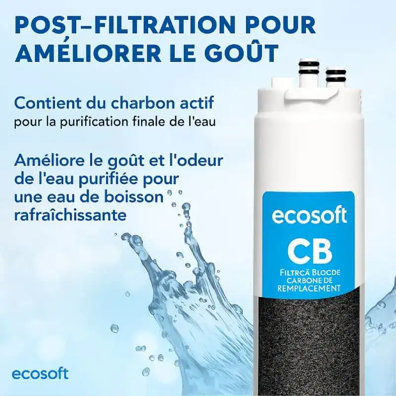 Filtre à charbon actif pour eau potable, amélioration du goût et de l'odeur, compatible avec système de filtration Ecosoft CB.