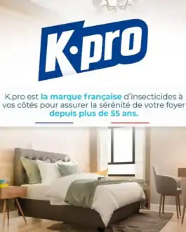 chambre-traitee-insecticide - Boutique Diproclean K-pro, marque française spécialisée dans les insecticides domestiques, garantit la sérénité de votre foyer depuis plus de 55 ans, avec des produits efficaces pour la protection contre les nuisibles.