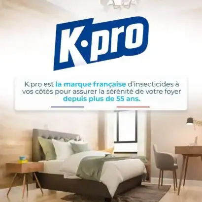 chambre-traitee-insecticide - Boutique Diproclean K-pro, marque française spécialisée dans les insecticides domestiques, garantit la sérénité de votre foyer depuis plus de 55 ans, avec des produits efficaces pour la protection contre les nuisibles.