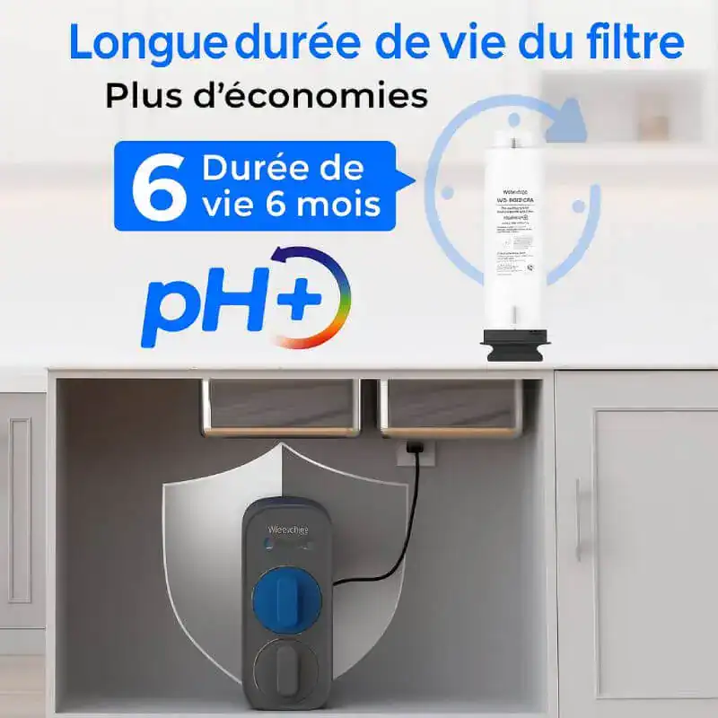 Filtre à eau avec longue durée de vie, 6 mois, économie et efficacité pour une hydratation saine, compatible avec tous types de systèmes de filtration, installation simple.