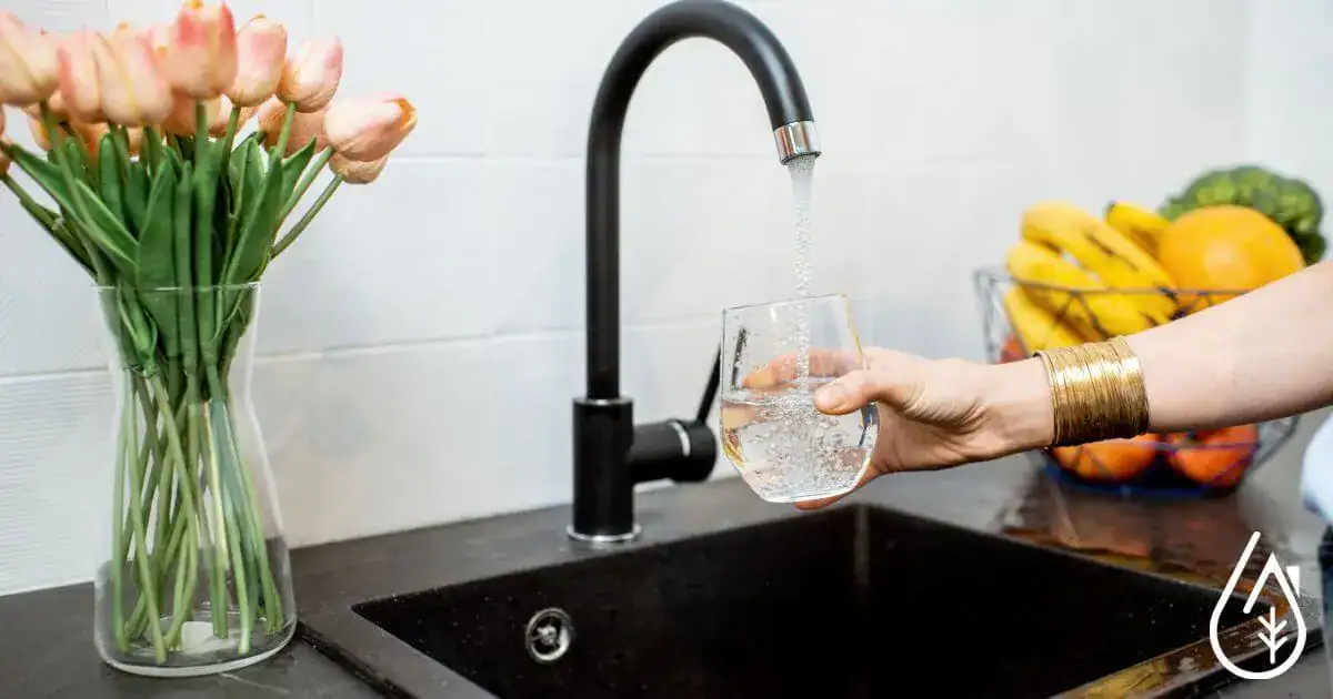Fleuile de tulipes dans un vase sur un plan de travail de cuisine avec robinet et verre d'eau sous un robinet; disposition élégante et moderne.