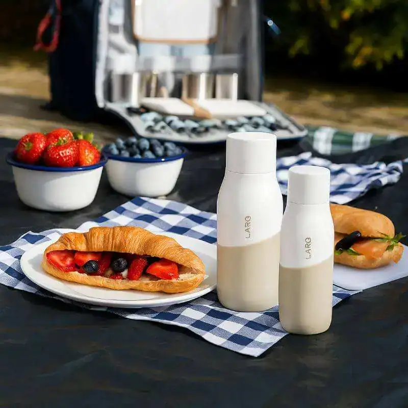 Smoothie bottles sur pique-nique avec croissants et fruits frais pour une expérience de restauration portable de qualité.