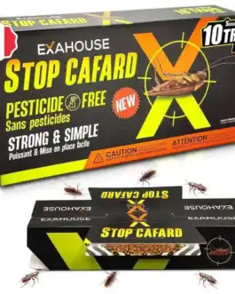 Piège anti-cafard sans pesticide, efficace, facile à utiliser, idéal pour éliminer les cafards dans la maison, solution simple et écologique, expert en ordre et propreté.