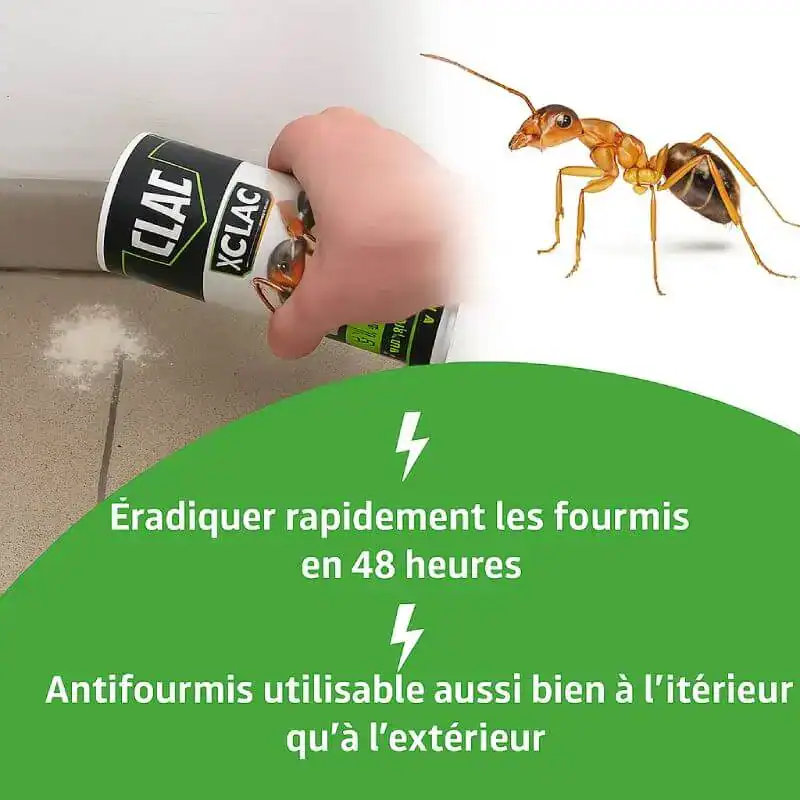 Diproclean Antipour Miss. - Boutique Diproclean Antipoux puissant et rapide.