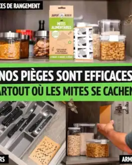 Pièges efficaces contre les mites alimentaires et vestimentaires. Faciles à placer dans tiroirs et armoires pour une protection discrète et durable.