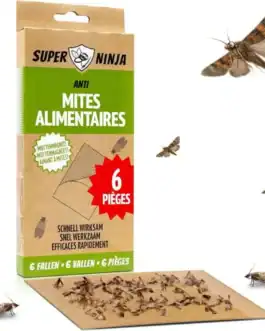 Pièges à mites alimentaires pour une lutte rapide et durable contre les mites.