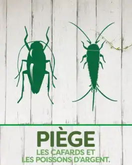 Piège écologique pour cafards et poissons d'argent, solution efficace contre les insectes indésirables. Facile à utiliser, idéal pour la maison ou le local professionnel.