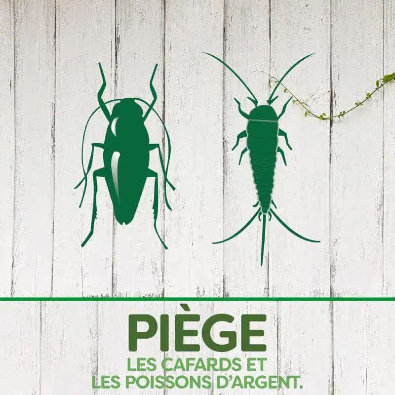 Piège nuisibles. - Boutique Diproclean Piège écologique pour cafards et poissons d'argent, solution efficace contre les insectes indésirables. Facile à utiliser, idéal pour la maison ou le local professionnel.