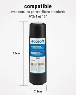 Dimensions de la cartouche charbon granulés Ecosoft 9 3/4 pouces.