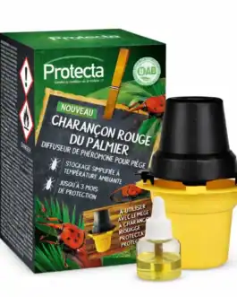 Dispositif de piégeage pour charançon rouge du palmier avec phéromone.