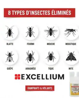 Balayette, fourmi, mouche, moustique, guêpe, araignée, tique, mite - solution insecticide professionnelle pour une maison saine et sans nuisibles.