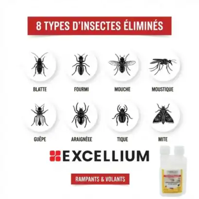 Balayette, fourmi, mouche, moustique, gu&ecirc;pe, araign&eacute;e, tique, mite - solution insecticide professionnelle pour une maison saine et sans nuisibles.