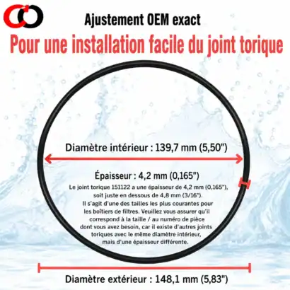 Joint torique Big Blue 151122 pour filtres, diam&egrave;tre int&eacute;rieur 139,7 mm, &eacute;paisseur 4,2 mm, installation facile.