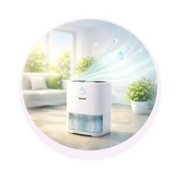 Déshumidificateurs d'air