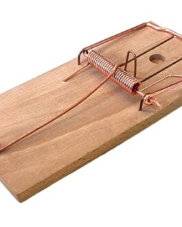 Dispositif vivant à ressort en métal posé sur une planche en bois, utilisé pour démontrer des mécanismes de capture dans une démonstration pédagogique.