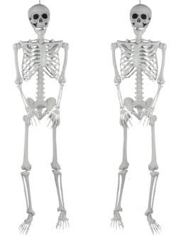 Deux squelettes identiques debout côte à côte, image pédagogique sur l'hygiène et le nettoyage des surfaces.