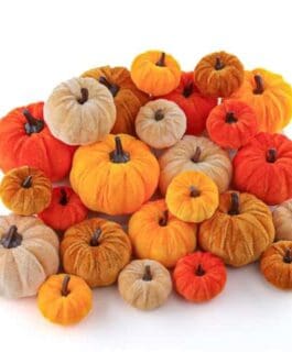 Collection de petites citrouilles d&eacute;coratives orange et beige, parfaites pour Halloween et saison automnale, affichage int&eacute;rieur.