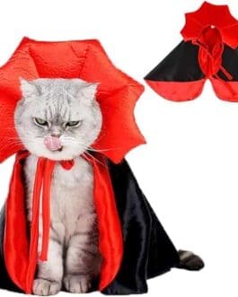 Cape d Halloween rouge et noir avec col dentelle pour chat, accessoire élégant diproclean.