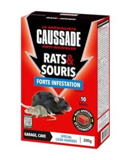 Raticide anti-nuisibles produit pour infestations de rats et souris, boîte rouge avec image d'une souris et d'un rat, mention Fort Infestation, 200 g.
