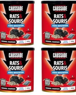 Boîtes rouges de poison pour rats et souris Gaussade Rats & Souris, forte infestation, 6 sachets par boîte.