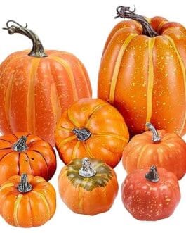Groupe de courges vari&eacute;es orange &agrave; tiges brunes sur fond blanc, affichant des stries distinctes et des textures brillantes.
