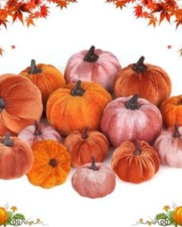 Citrouilles d&eacute;coratives vari&eacute;es en teintes orang&eacute;es et ros&eacute;es pour d&eacute;coration d automne et Halloween par Diproclean.