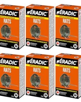 Rats en boîte Diproclean illustrant la technologie fluorescente pour contrôle des rongeurs.