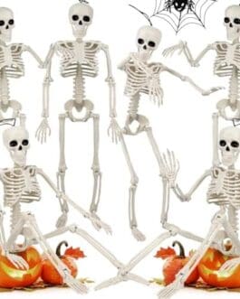 Squelettes décoratifs Halloween réunis autour de citrouilles, ambiance festive et macabre.