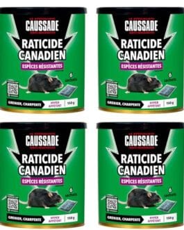 Raticide canadien en poudre ou pâte pour serpents et rats, disponible en pack de 4 pots Diproclean Boutique.