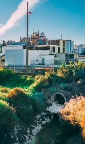 Rejets des industries dans les rivières.